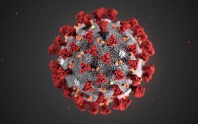 Informations Coronavirus / COVID-19